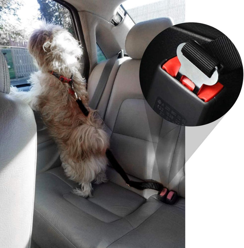 Safety seatbelt for Pets