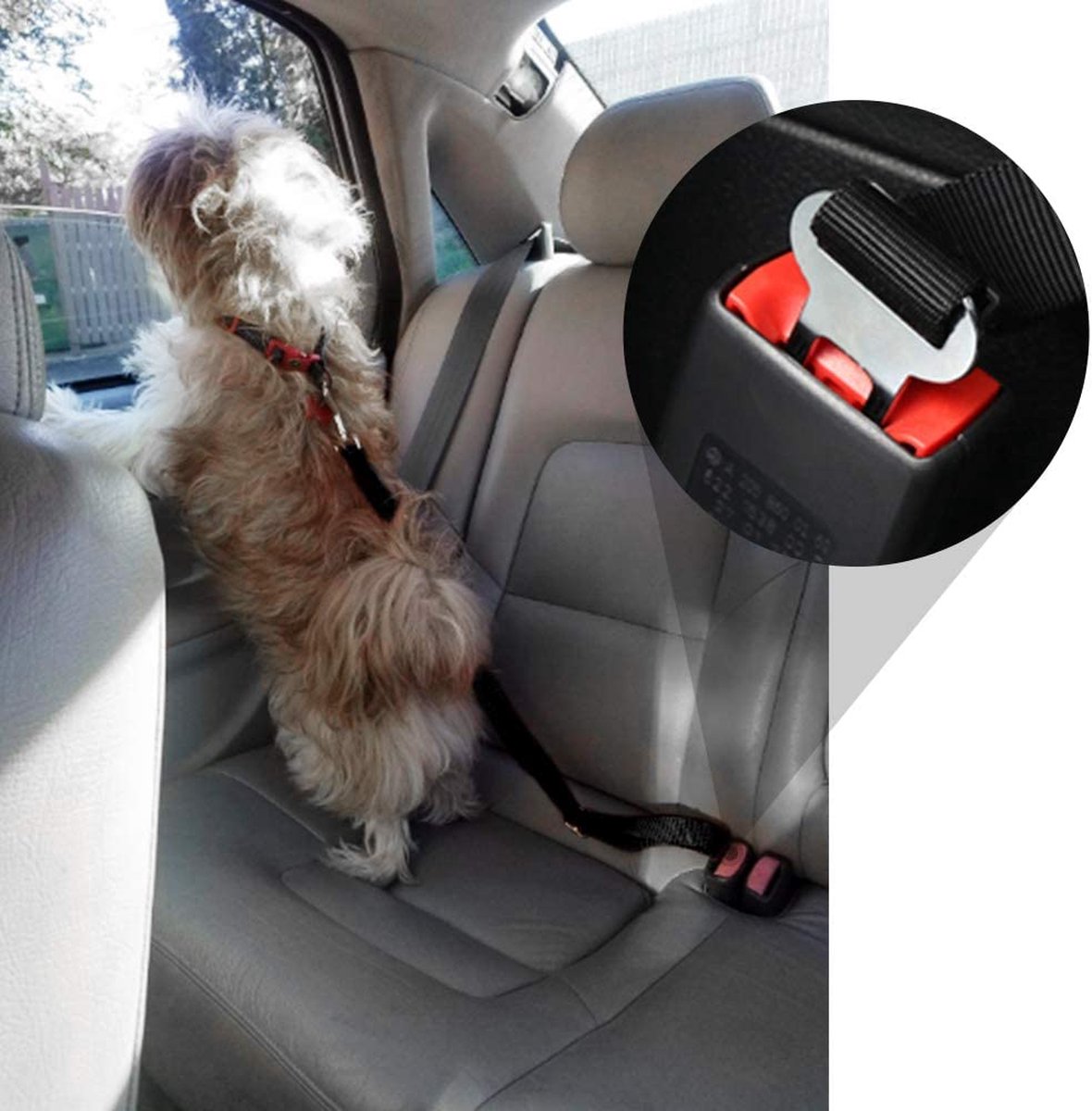 Safety seatbelt for Pets