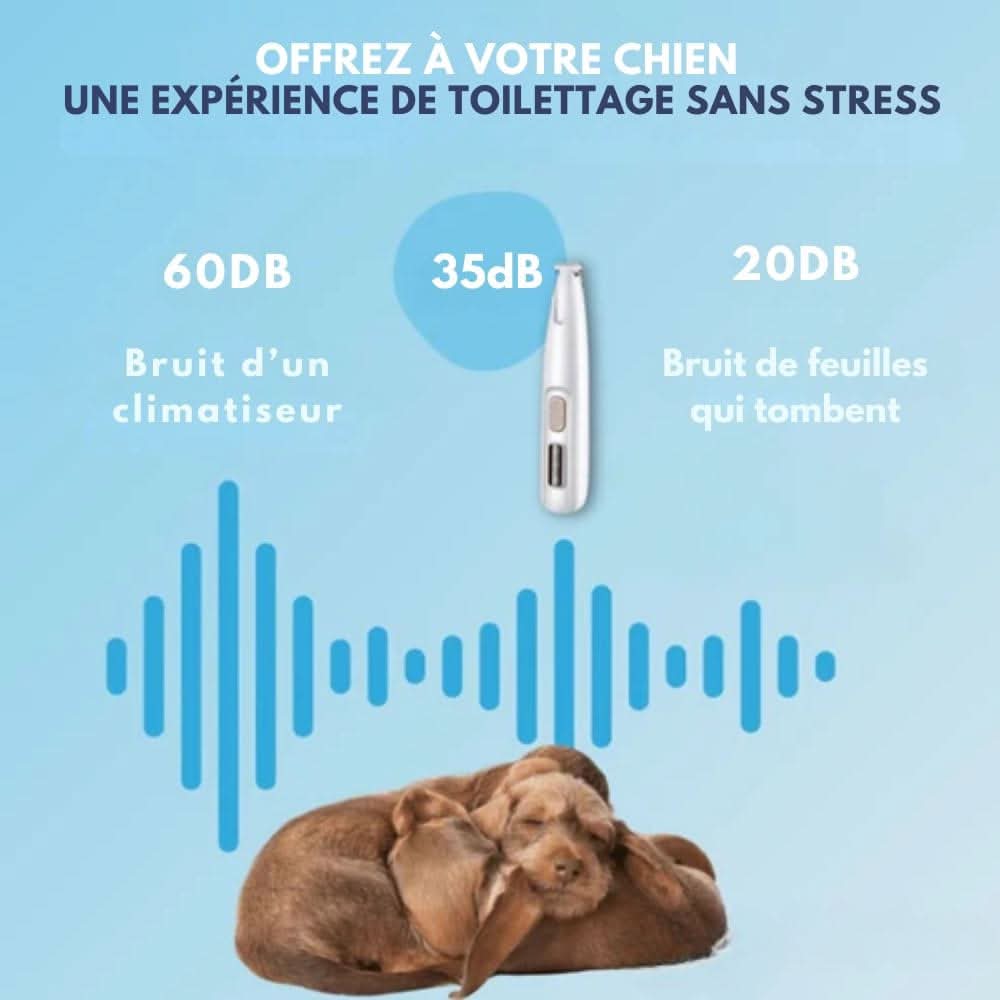 Silent dog trimmer for clean paws & sensitive areas