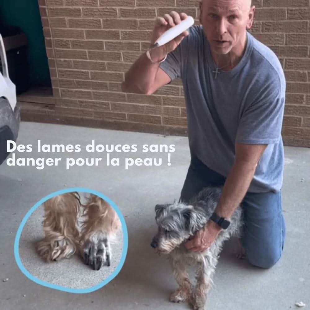 Silent dog trimmer for clean paws & sensitive areas