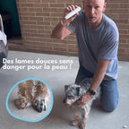 Silent dog trimmer for clean paws & sensitive areas