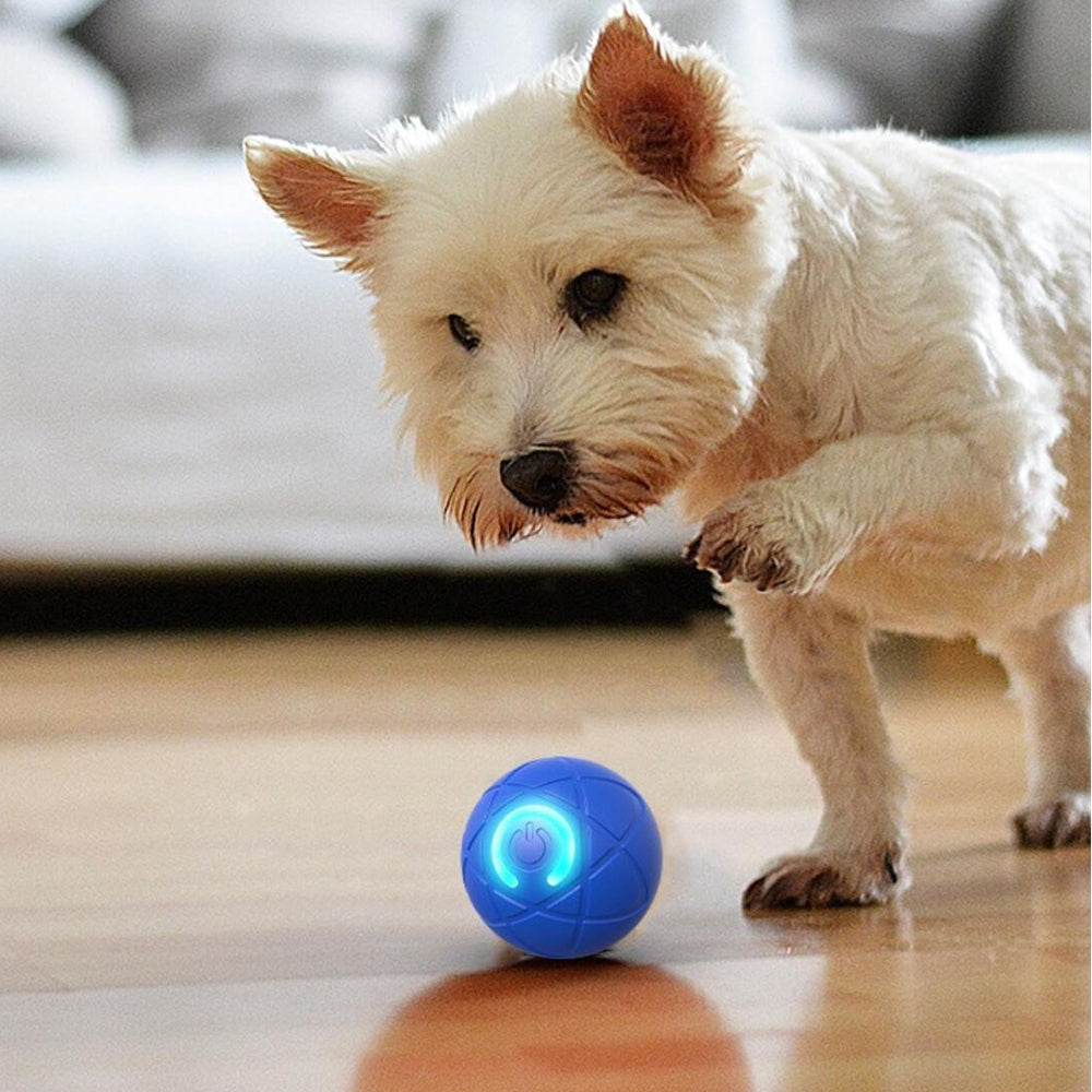 Interactive Play Ball for Pets – Automatically Rolling & Jumping
