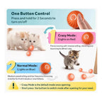 Interactive Play Ball for Pets – Automatically Rolling & Jumping