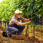 GrowGlide – Garden ergonomically in every corner!