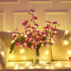 OrchLight - Illuminated Branches | Enchanting Atmosphere