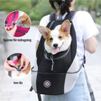 PawCarry – Together everywhere on the go