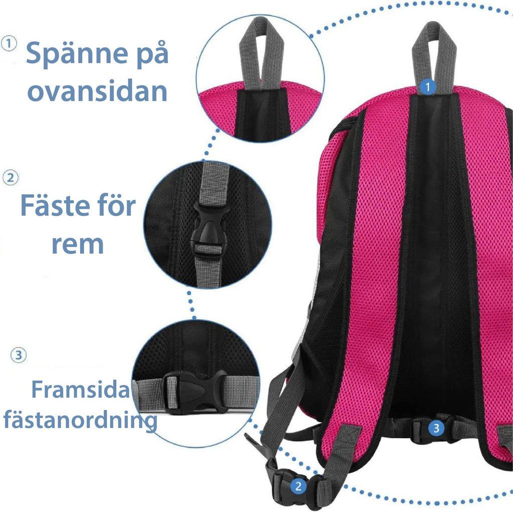 PawCarry – Together everywhere on the go