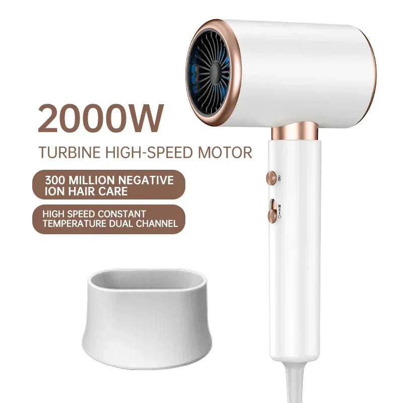 IonBlaze | Professional 2400W Hair Dryer with Ion Technology