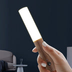 Magnetic LED Motion Sensor Night Light