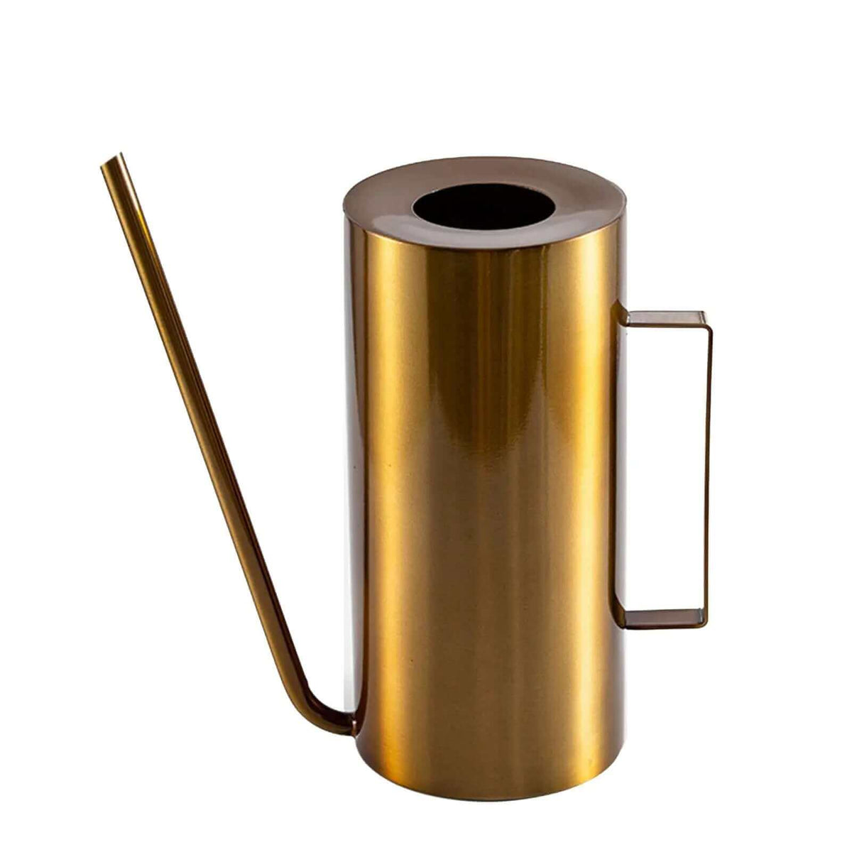 Japanese 1.5L Bonsai Watering Can
