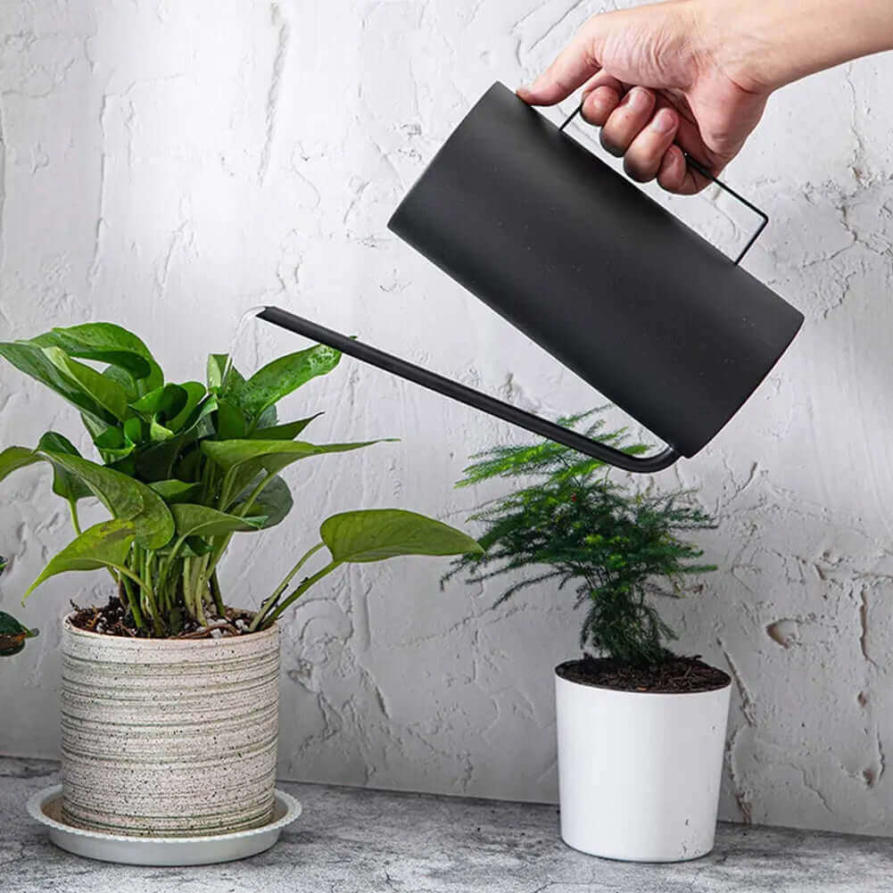 Japanese 1.5L Bonsai Watering Can