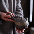 Japanese Ceramic Kyusu Teapot Chinese Kung Fu Teapot Drinking Utensil 200ml