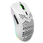 HXSJ T66 7 Button Colorful Lighting Programmable Gaming Wireless Mouse (White)