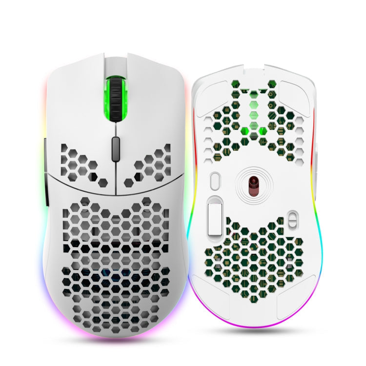 HXSJ T66 7 Button Colorful Lighting Programmable Gaming Wireless Mouse (White)