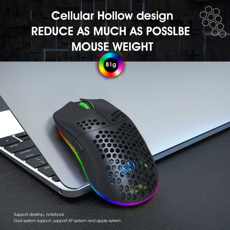 HXSJ T66 7 Button Colorful Lighting Programmable Gaming Wireless Mouse (White)