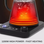Smart Electric Gooseneck Kettle With Temperature Control