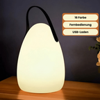 Wireless LED Table Lamp | Portable Waterproof Light