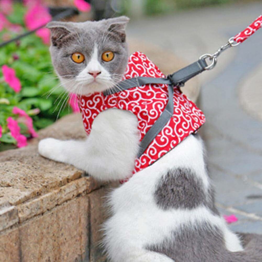 Cat harness vest for safety & comfort