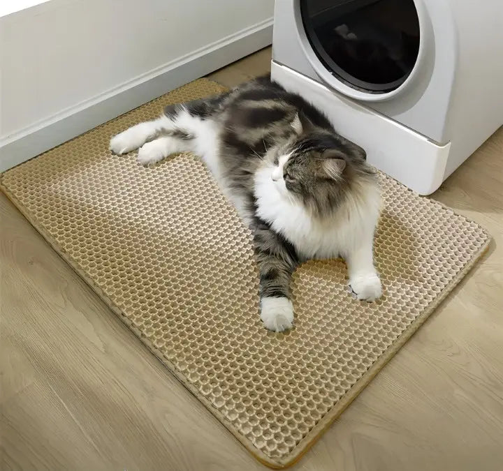 Cat litter mat – Keep your floors clean and litter-free!