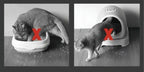 Cat litter mat – Keep your floors clean and litter-free!