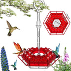 Kolibri Feeder to Hang – For a Lively Garden Full of Color and Life