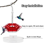 Kolibri Feeder to Hang – For a Lively Garden Full of Color and Life