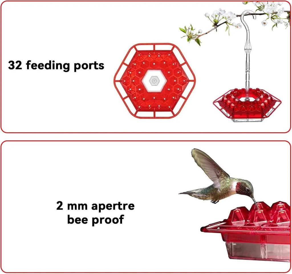 Kolibri Feeder to Hang – For a Lively Garden Full of Color and Life