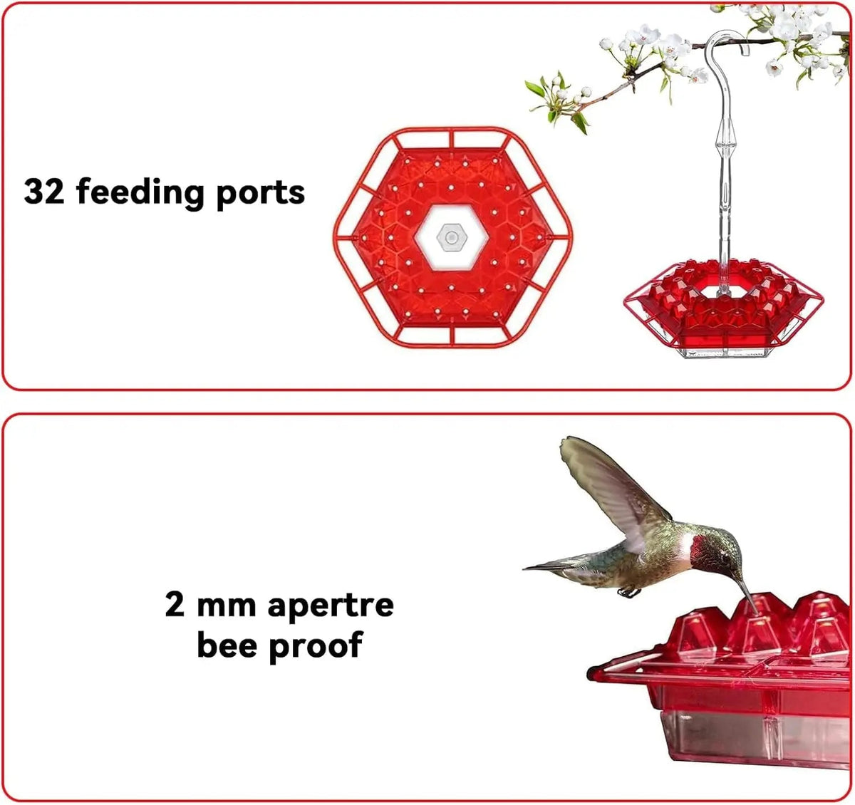 Kolibri Feeder to Hang – For a Lively Garden Full of Color and Life