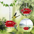 Kolibri Feeder to Hang – For a Lively Garden Full of Color and Life