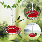 Kolibri Feeder to Hang – For a Lively Garden Full of Color and Life