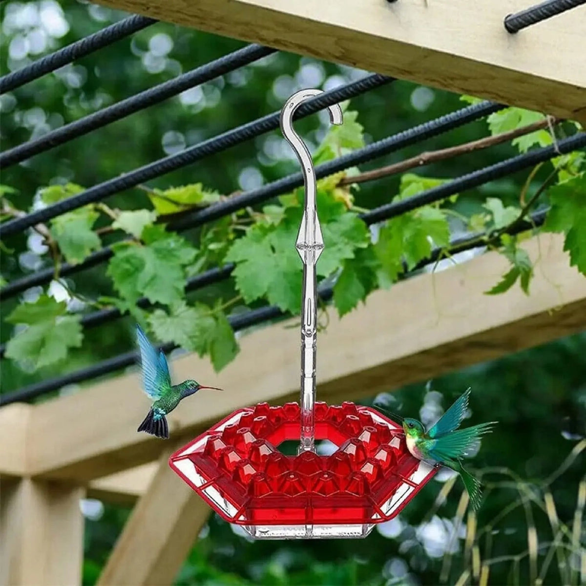 Kolibri Feeder to Hang – For a Lively Garden Full of Color and Life