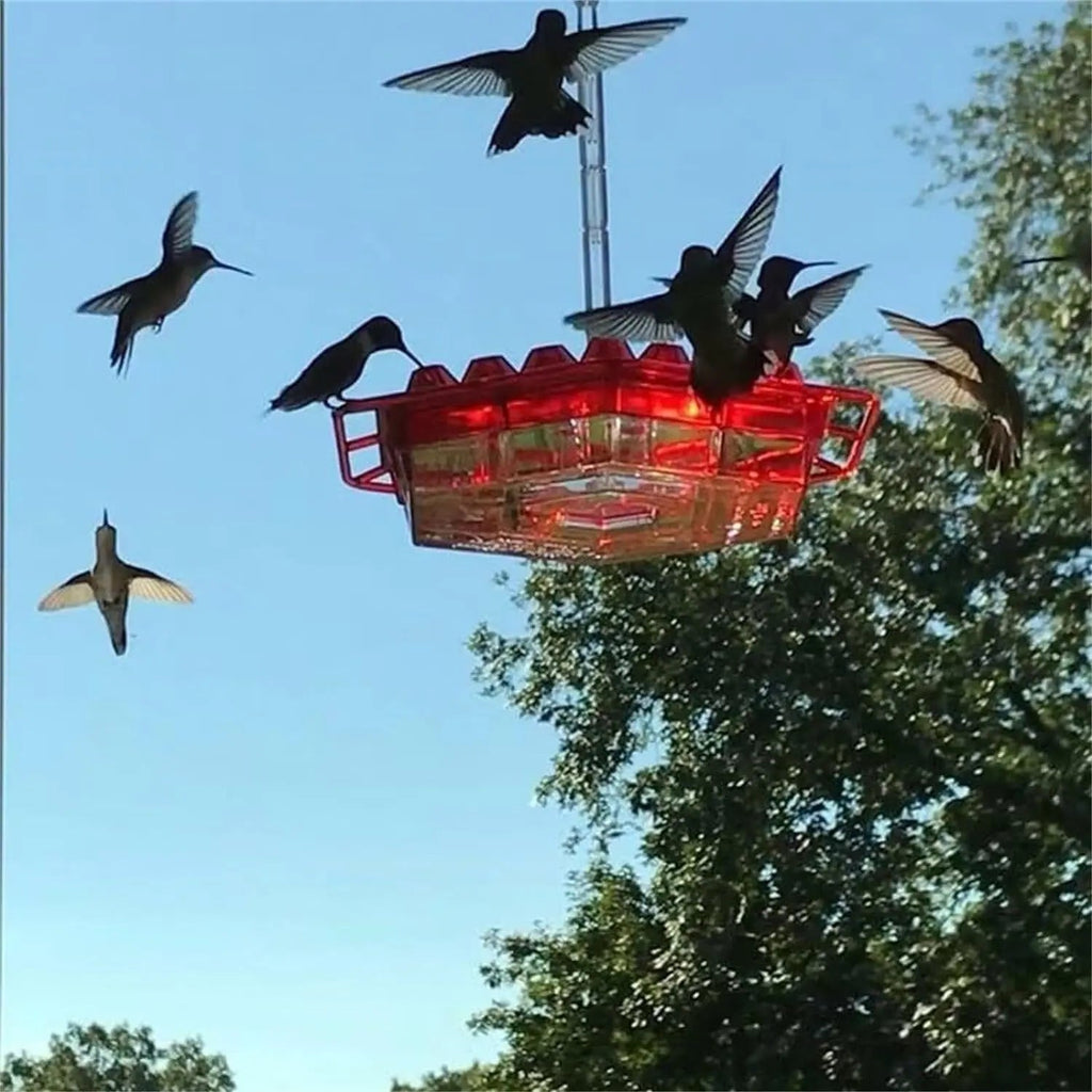 Kolibri Feeder to Hang – For a Lively Garden Full of Color and Life