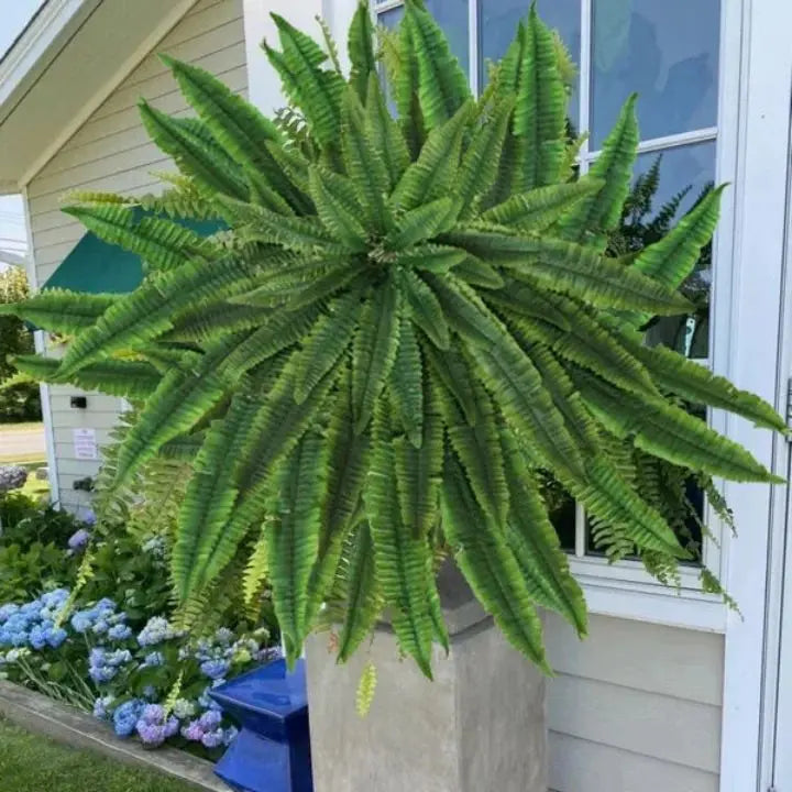 Artificial Boston Fern Bundle - UV resistant & easy to care for (18 stems)