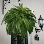 Artificial Boston Fern Bundle - UV resistant & easy to care for (18 stems)