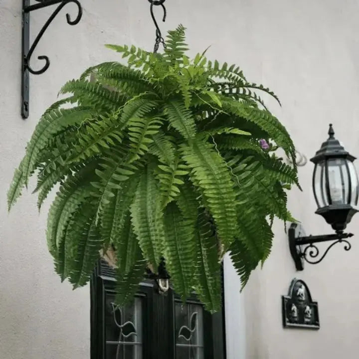 Artificial Boston Fern Bundle - UV resistant & easy to care for (18 stems)