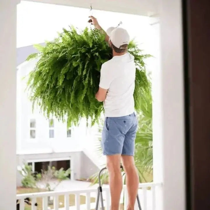 Artificial Boston Fern Bundle - UV resistant & easy to care for (18 stems)