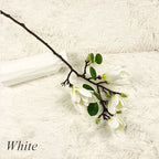 BlijftBloei – Atmospheric Art Branch with Realistic Magnolia Flowers