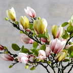 SilkSplendor - Life-like artificial magnolia branches