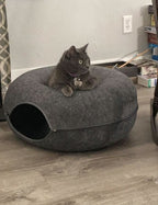 Luxury cat tunnel with sleeping area