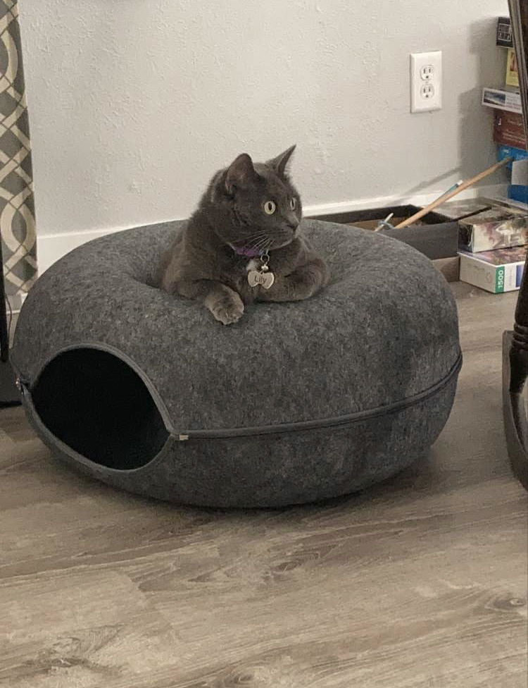 Purrfect Den - Luxury Cat Tunnel with Sleeping Spot