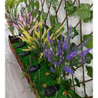 Solar lavender lights for romantic garden lighting