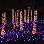Magical atmosphere in your surroundings