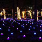Magical atmosphere in your surroundings