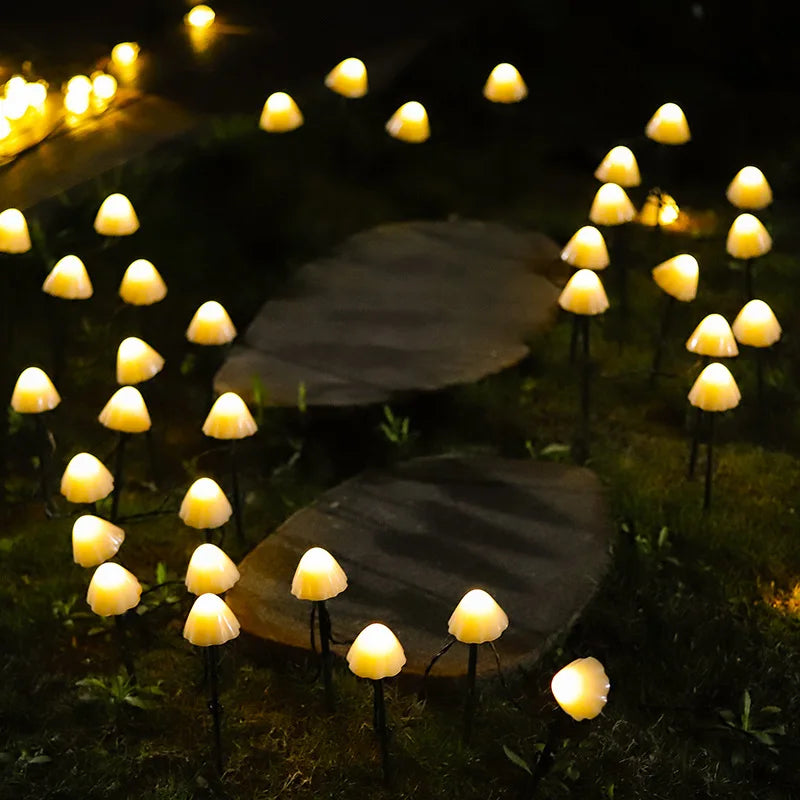 Magical atmosphere in your surroundings