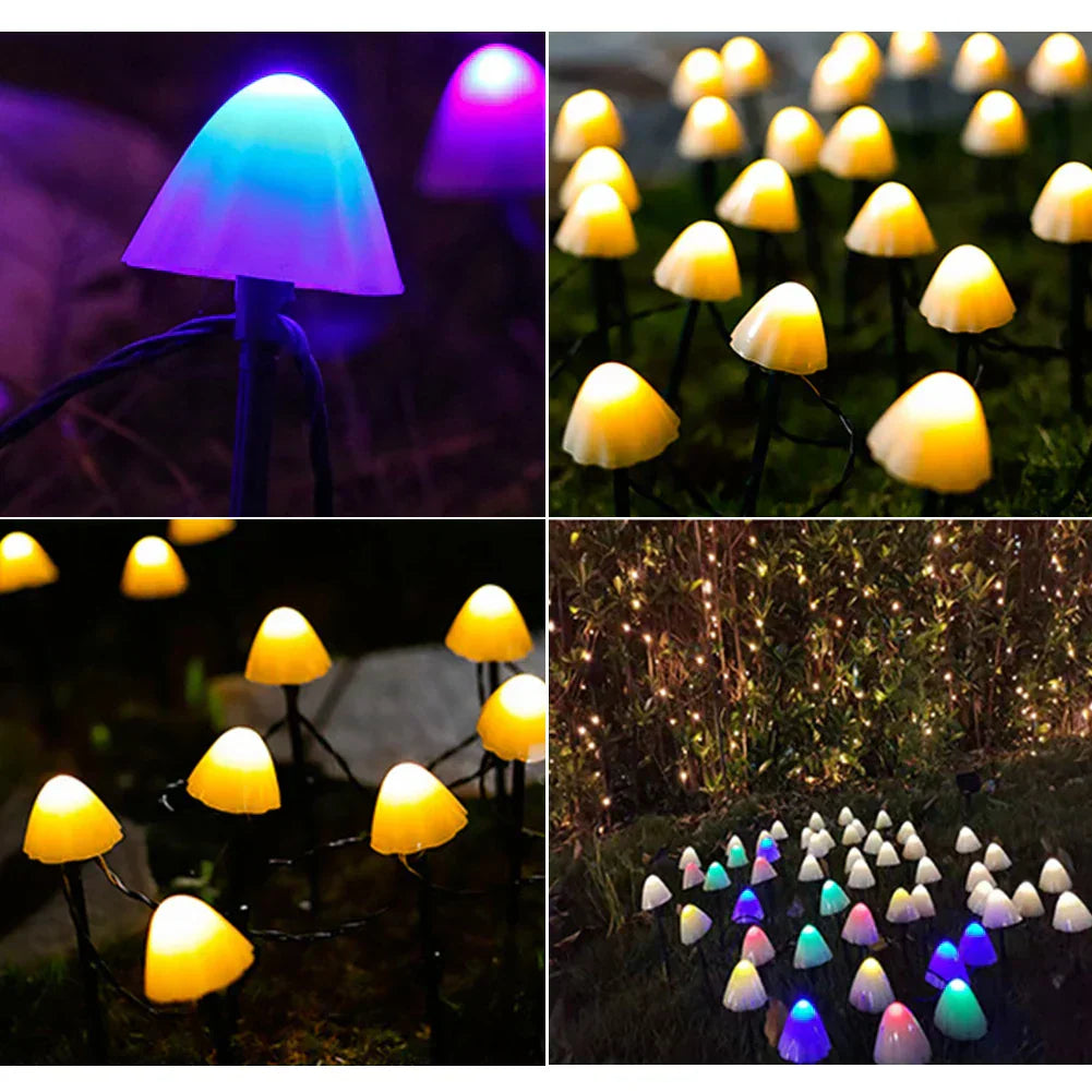 Magical atmosphere in your surroundings