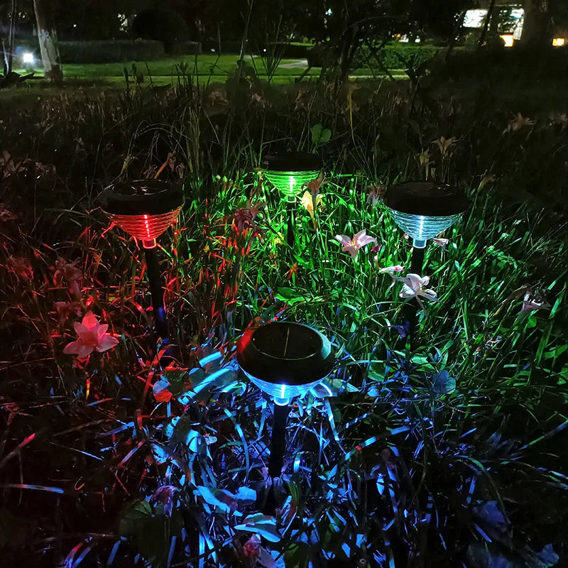 Subtle glow of nature in a modern edition
