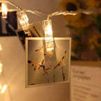LED Clip Light Chain