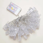 LED Clip Light Chain