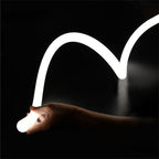 Designer Light Creating a Unique Atmosphere