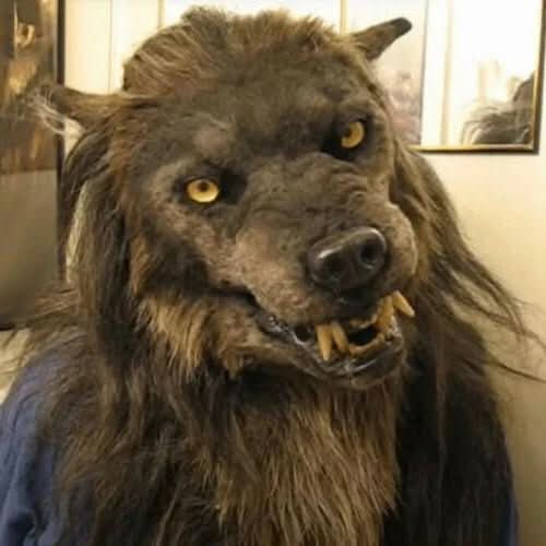 Realistic Werewolf Mask for Halloween & Cosplay